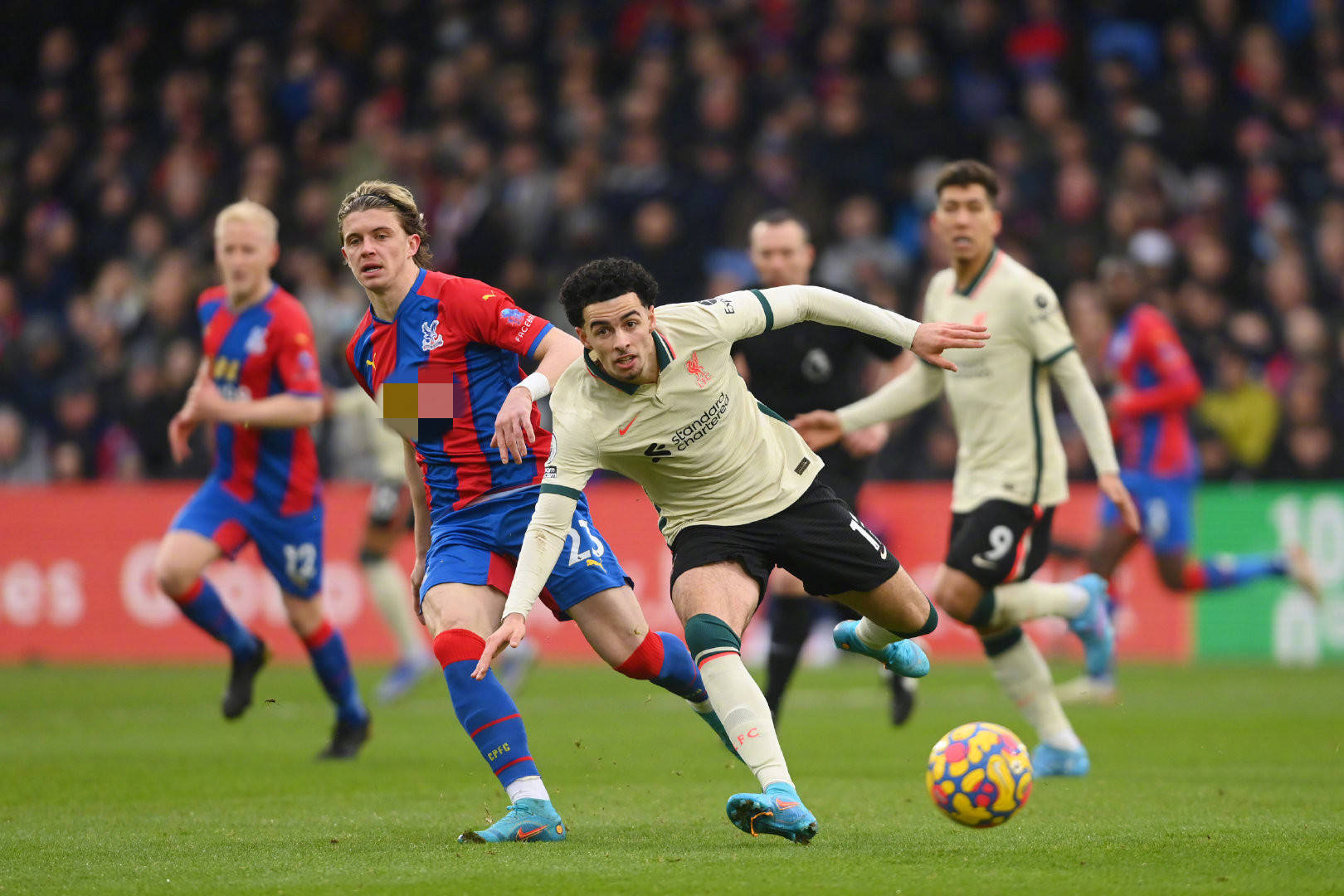 可能会被无 可能会被无